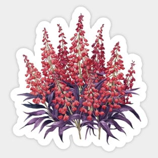 Queen Victoria lobelia, Watercolor Botanical Sticker